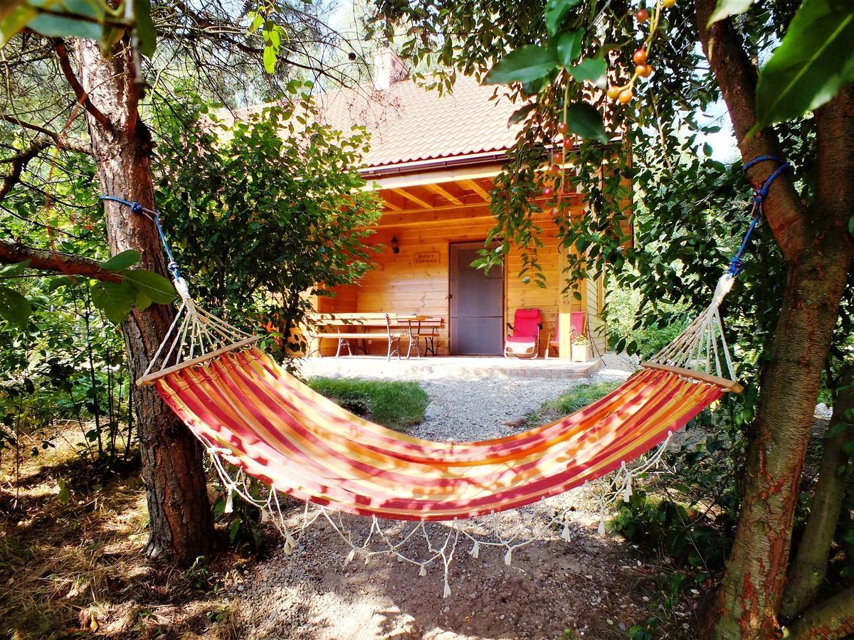 Sumowko Lesne Siedlisko Farm stay *
