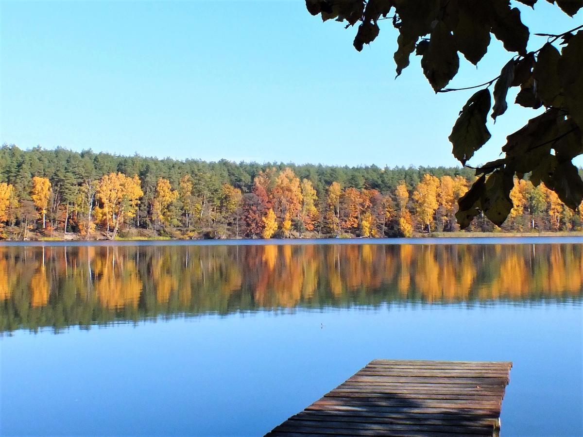 Sumowko Lesne Siedlisko Farm stay *