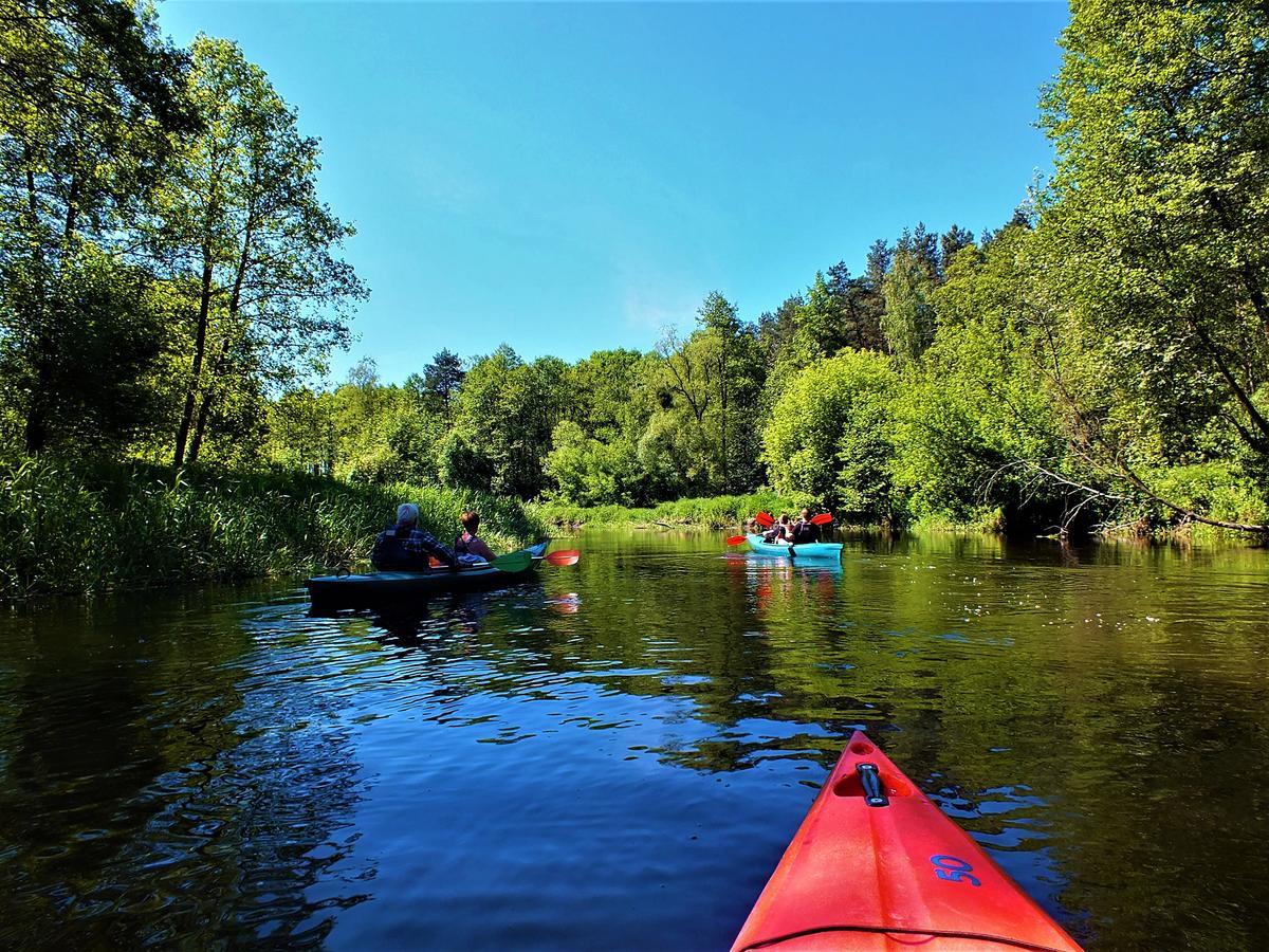 Farm stay Sumowko Lesne Siedlisko Zbiczno
