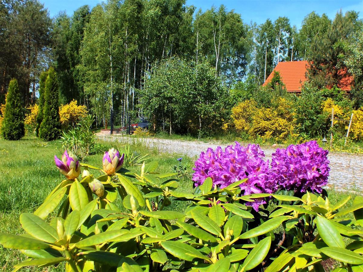 Sumowko Lesne Siedlisko Farm stay *