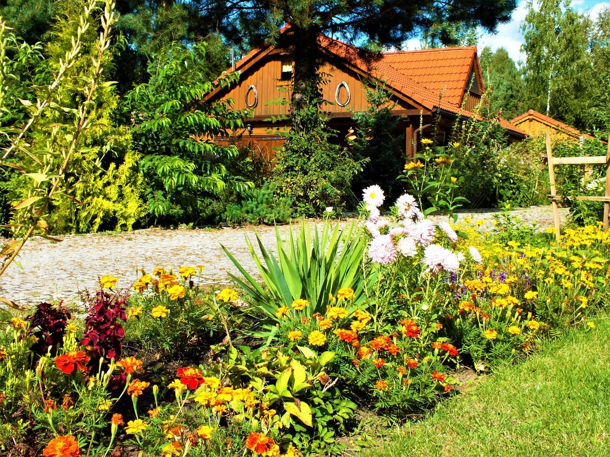 Farm stay Sumowko Lesne Siedlisko Zbiczno