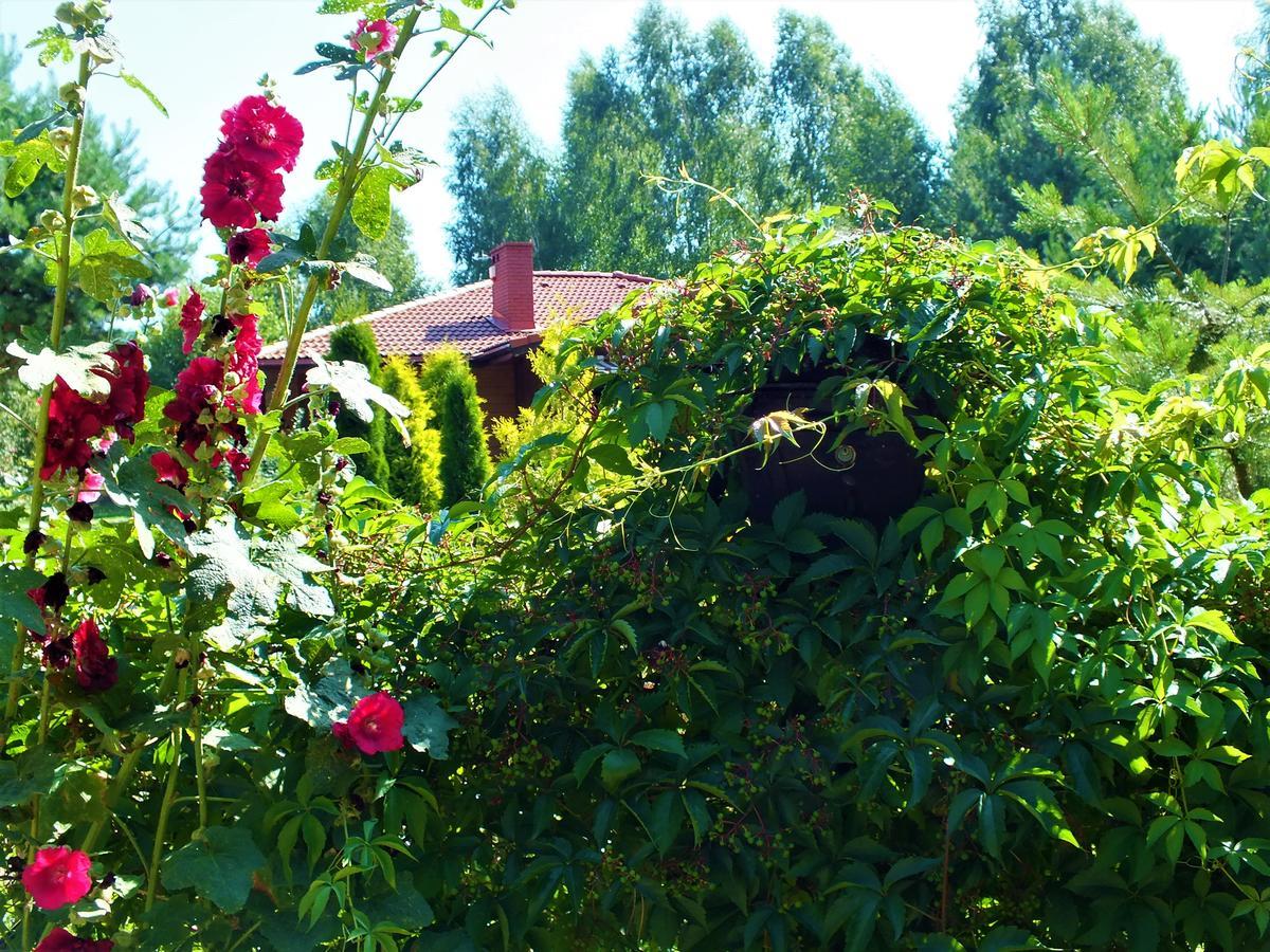 Sumowko Lesne Siedlisko Farm stay