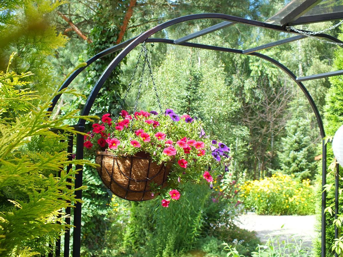 Sumowko Lesne Siedlisko Farm stay Zbiczno