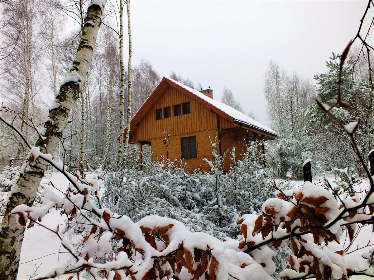 Sumowko Lesne Siedlisko Farm stay *